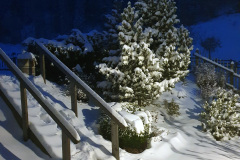 Impressionen-Winter-14