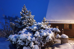 Impressionen-Winter-15